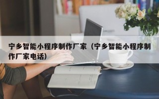 上海宁乡智能小程序制作厂家（宁乡智能小程序制作厂家电话）