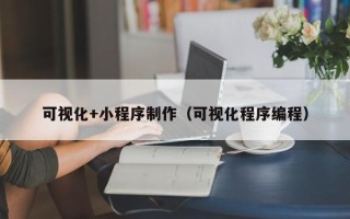 上海可视化+小程序制作（可视化程序编程）